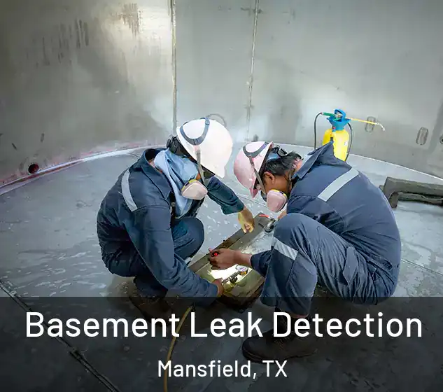  Basement Leak Detection Mansfield, TX