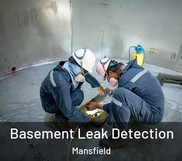  Basement Leak Detection Mansfield