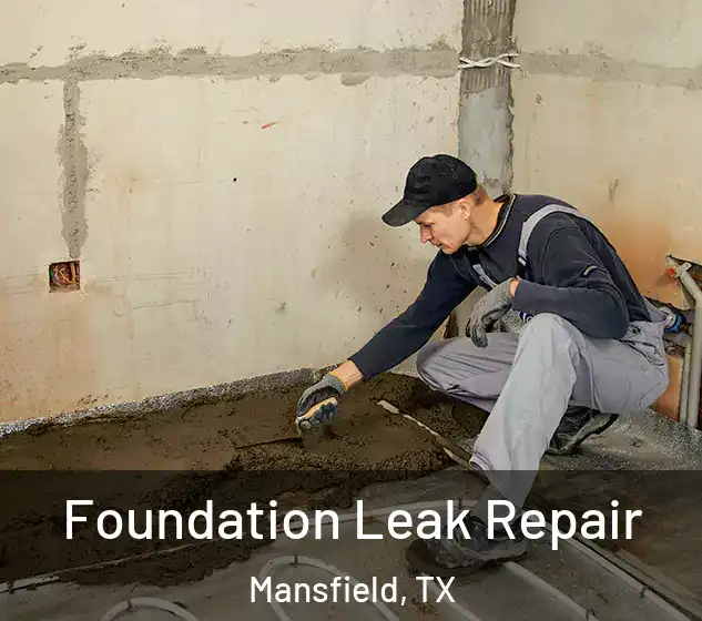  Foundation Leak Repair Mansfield, TX