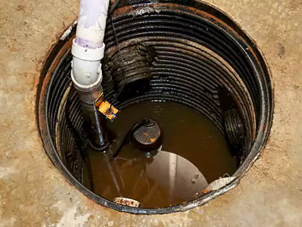 Why Plumbing Repair Mansfield is the First Choice for Sump Pump Maintenance Services in Mansfield, TX?