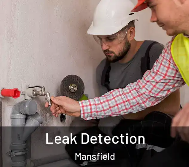  Leak Detection Mansfield