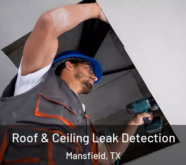  Roof & Ceiling Leak Detection Mansfield, TX