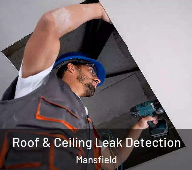  Roof & Ceiling Leak Detection Mansfield