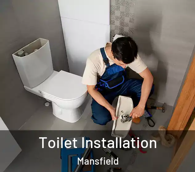  Toilet Installation Mansfield