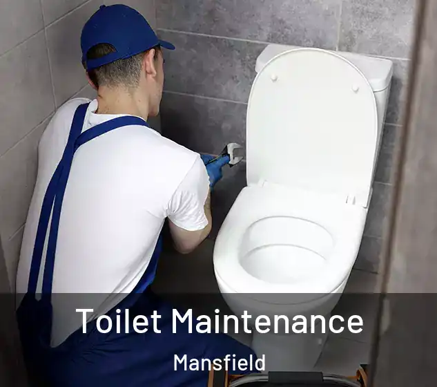  Toilet Maintenance Mansfield