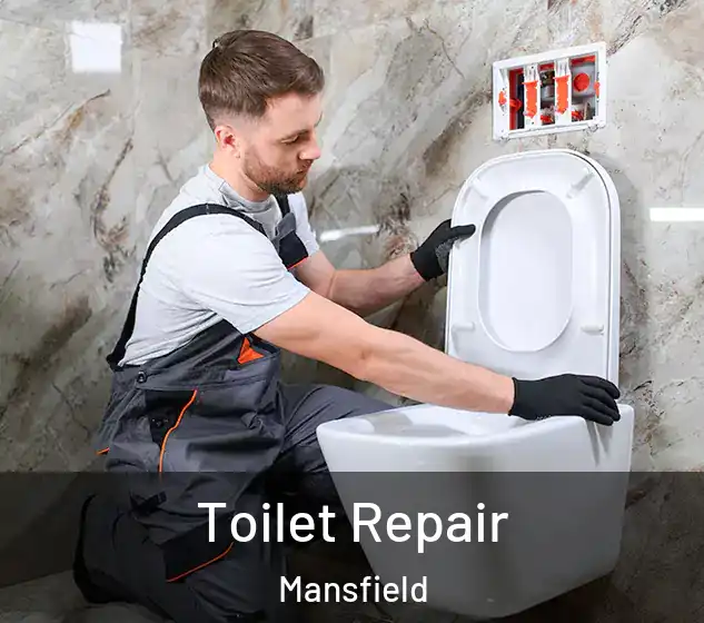  Toilet Repair Mansfield