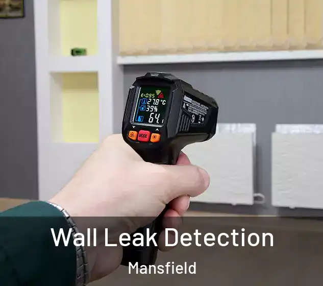  Wall Leak Detection Mansfield